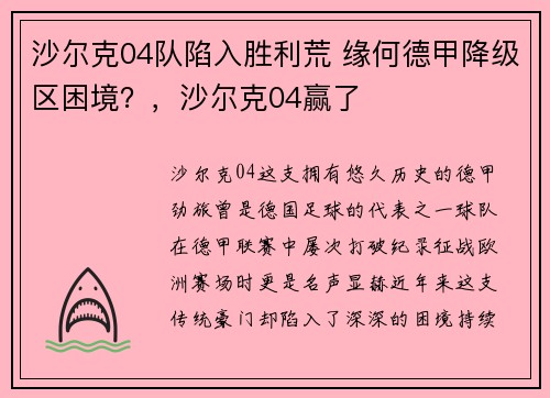 沙尔克04队陷入胜利荒 缘何德甲降级区困境？，沙尔克04赢了