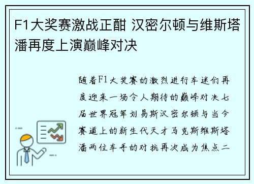 F1大奖赛激战正酣 汉密尔顿与维斯塔潘再度上演巅峰对决